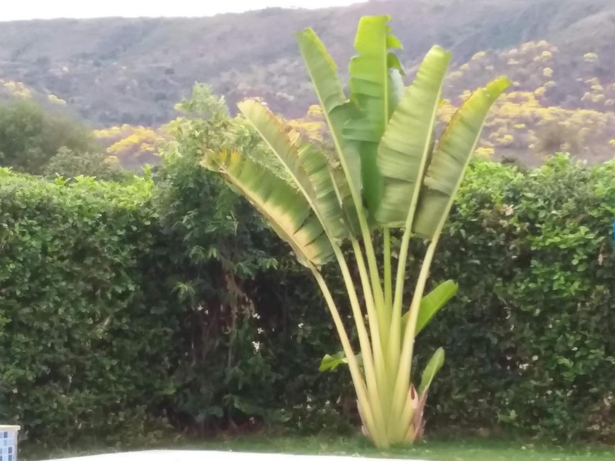 C&H Casa Campestre El Oasis Ricaurte Girardot Bed & Breakfast Exterior photo